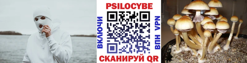hydra сайт  Володарск  Галлюциногенные грибы MAGIC MUSHROOMS 